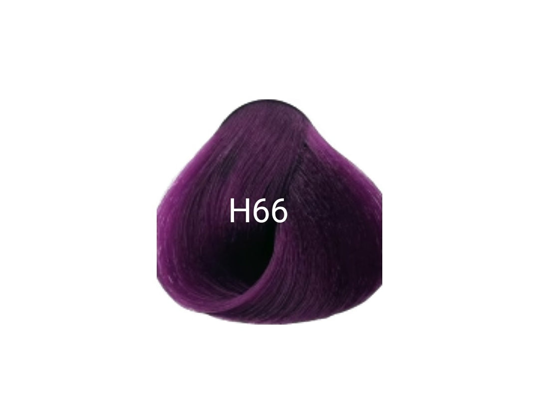 Bremod Hair Color H66